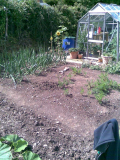 plot 3