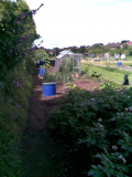 looking down the plot