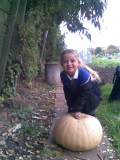 pumpkin