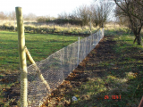 Rabbit Defences