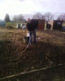 plot16