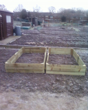 raised beds