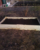 raised beds