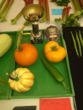 Novice Tray