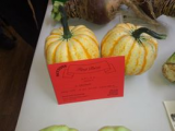 Squash