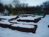 snowy Feb