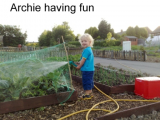 happy watering