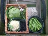 some of last years harvest