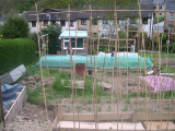 the long bed in operation