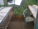 inside the greenhouse
