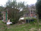 my shed