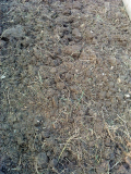 soil in bed