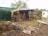 Ripped down the shed  