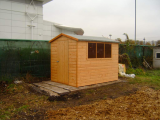 Shed's up 