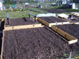 Built beds in Dec , Jan and Feb