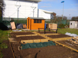 Most beds dug