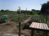 plot in May