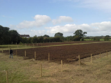 Fencing erected...