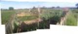 Plot 17