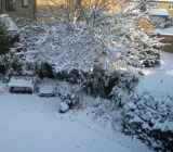 DecSnow2