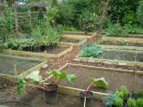 28June2009