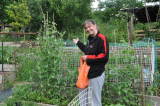 Giant peas