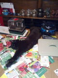 My little helper
