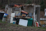 Shed Number Seven