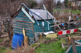 Shed Number Nine