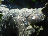 Raindrops on PSB