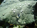 More droplets