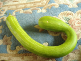 Trompetto