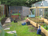 small veg plot