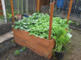 raised spud frame