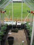 greenhouse 1