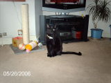 Jack