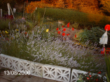 Allotment in August