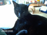 Jack