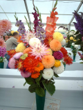 Vase of cut flowers