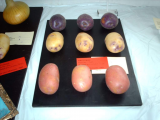 Potatoes