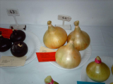 Onions 
