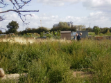 before we started clearing