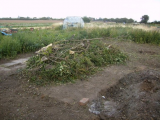 the weed pile